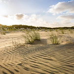 &acute;Spring&acute;