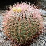 DSC_2408_1328 DSC_2408_1328