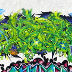 ...........Dilak.........ROLLING STOCK GALLERY FT. LAUDERDALE