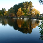 Town Lake Reflections
