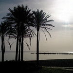 Un rayo de luz ( Explore )