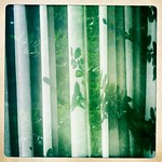 I'll take what's behind curtain #3, Monty