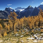 Larch Valley fall glory