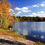 Autumn by the lake