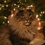 Christmas Time at Our House