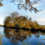 sunny november morning.........