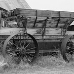 Wagon