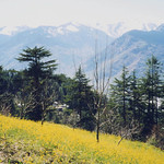 Naggar, Himachal Pradesh, India