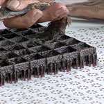 Indonesia - Java - Yogyakarta - Batik Cap - 6