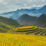 _Y2U0014+16.0915.La P&aacute;n Tẩn.M&ugrave; Cang Chải.Y&ecirc;n B&aacute;i