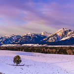 Purple Mountains Magesty