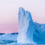 Ilulissat Icefjord