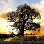 Endlessly onward winds the road