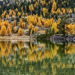 *Autunno al L&egrave; Vert*