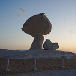 Chicken with Mushroom, the White Desert, Egypt.