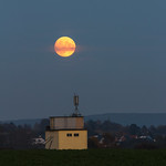 Mond 13.11.2016-8821.jpg