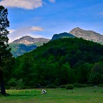 El mundo es un lugar para so&ntilde;ar / The world is a place to dream