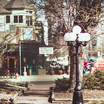 Great Horned Owl-1.jpg