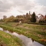 ANALOG; Olympus LT-1 and Lomography 100