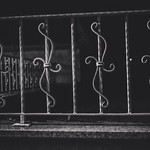 Struttin&acute; their stuff !