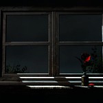 stop. rewind. slow motion