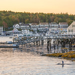 Early Morning Low Tide