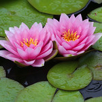 we can face it together