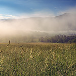 Misty in the Smoky Mountains