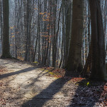 Nikon Nikkor-P&middot;C Auto 105mm f2.5