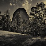 Devils Tower (Bear Lodge) Rising Above a Nearby Forest (Black & White)