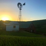 Alida Bader - Sunset over the homestead