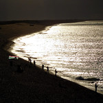 Catching the supper.