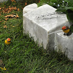 0834-garden-DSC_0916