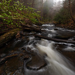 Spring Breaks Free along the Creek