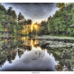 The Pond At Sunset