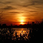 Yesterday in my city