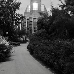 Onward to the Emerald City