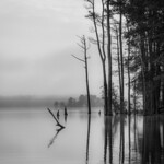 Protracted disentanglement