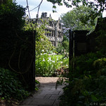 Glimpsed Through the Gate.