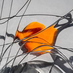 Another Take on Orange