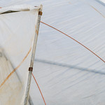 From the series: "In close touch"