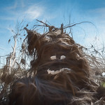 Fun Shot Thursday..;)