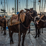 UK PM Boris Johnson denies lying to Queen.....