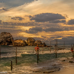 Stilt Fishing, Sri Lanka