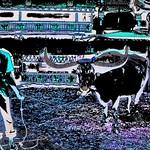 Indonesia - Sulawesi - Tana Toraja - Funeral Ceremony - 311dd