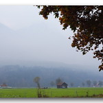 One misty morning, HFF.