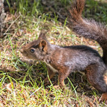 &iquest;D&oacute;nde?