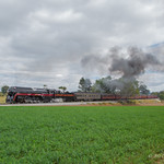 N&W 611 @ Carpenters, PA