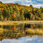 37/52 - Autmn Approaches