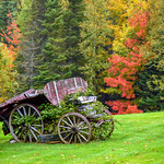 Autumn Vintage Wagon